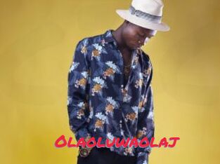 Olaoluwaolaj