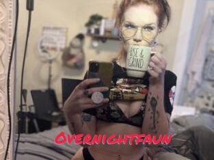 Overnightfaun