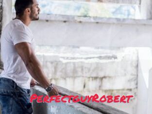 PerfectguyRobert