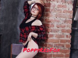 PoppyRedFox