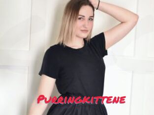 Purringkittene