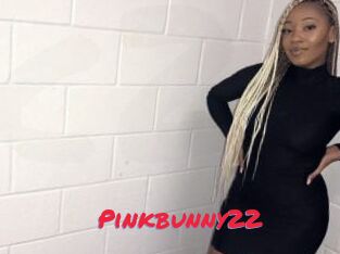 Pinkbunny22
