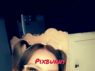 Pixbunny