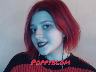Poppyblom