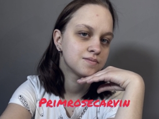 Primrosecarvin