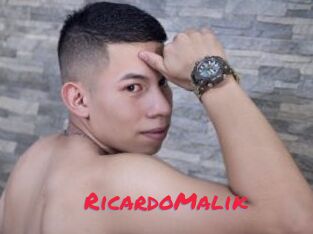 RicardoMalik