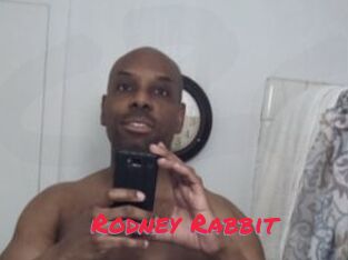 Rodney_Rabbit
