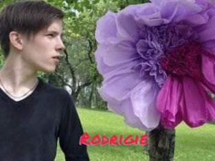 Rodrigie