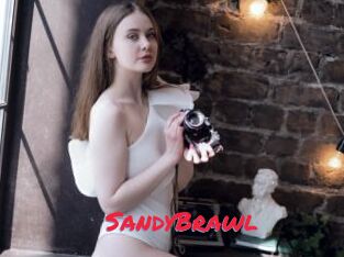 SandyBrawl