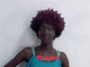 Shandy