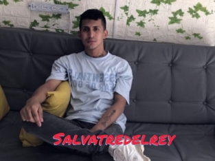 Salvatredelrey