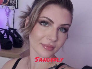 Sandyfly