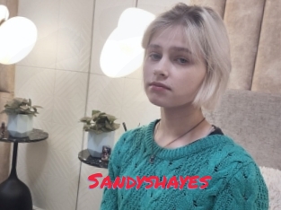 Sandyshayes