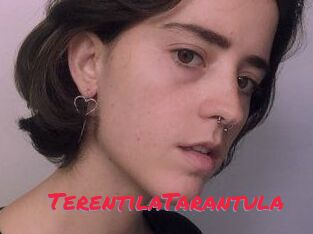 TerentilaTarantula