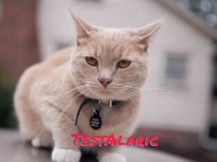 TestAlaric