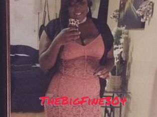 TheBigFine304