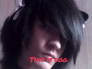 This_is_dog