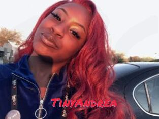TinyAndrea