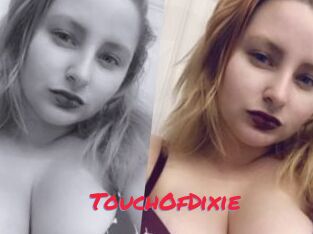 TouchOfDixie