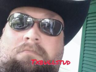 Txbullstud