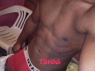 Tavog