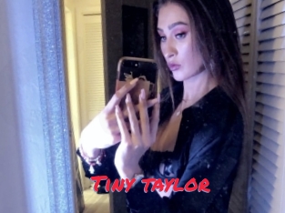 Tiny_taylor