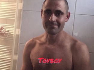 Toyboy