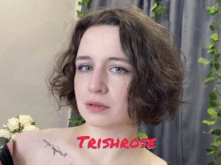 Trishrose