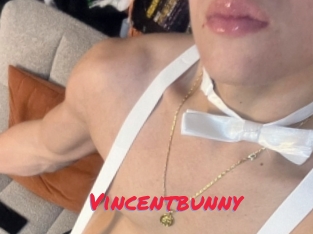 Vincentbunny