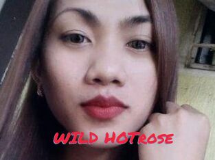 WILD_HOTrose