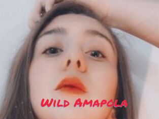 Wild_Amapola