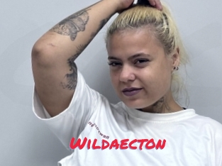 Wildaecton