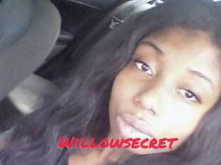 Willow_secret