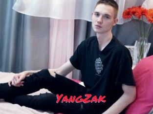 YangZak
