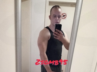 Zsomb95